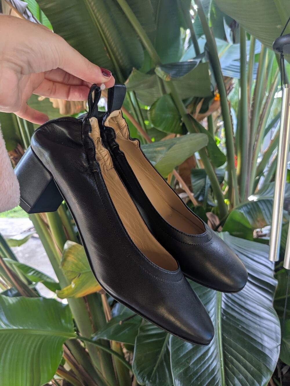 Everlane Day Glove Leather Black Low Block Heel Pump